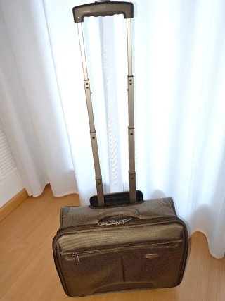 Maletín de viaje Samsonite beige/marrón