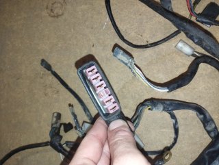 Cableado Piaggio Zip Base mk1