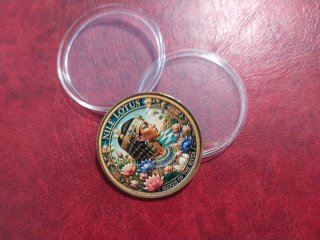 2 Preciosas Monedas Conmemorativas.