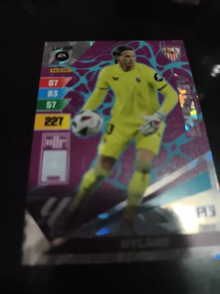 Carta Fútbol Panini Guantes de Oro