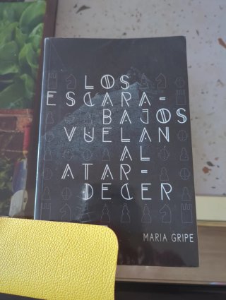 Libro " Los escarabajos vuelan al atardecer"