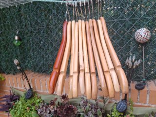 Lote 11 perchas de madera