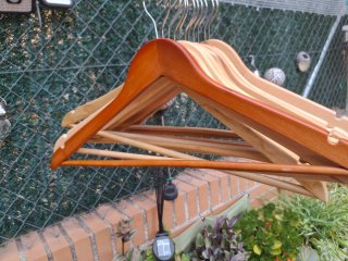 Lote 11 perchas de madera