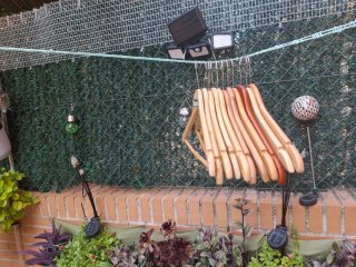 Lote 11 perchas de madera