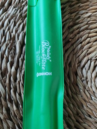 Flauta dulce Hohner con funda y limpiador