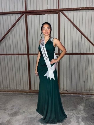 Vestido de gala verde con diamantes