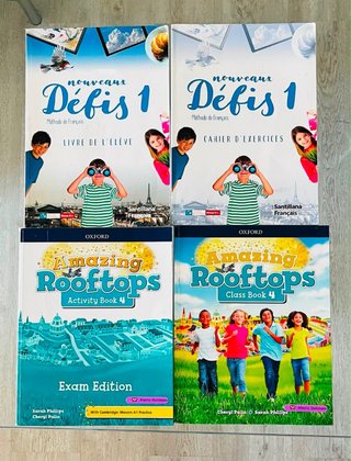 Libros 4 primaria