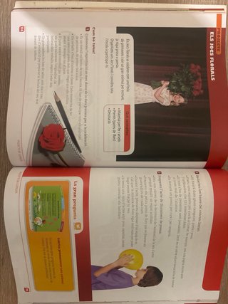 Llengua catalana, Primària, cicle superior 6è