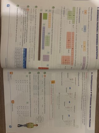 Matemàtiques, Primària, cicle superior 6è