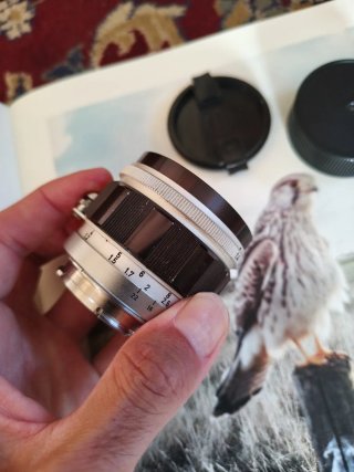 Canon 50mm f/1.4 LTM (M39) + Adattatore Leica M