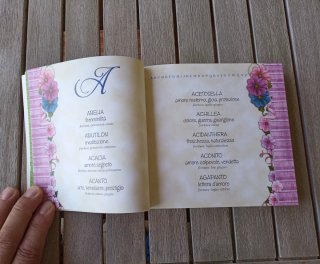Il linguaggio dei fiori Dizionario dei nomi e dei