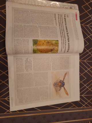 Lengua castellana y literatura 3 Secundaria