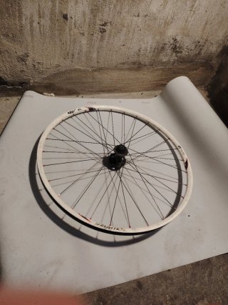Cerchio bici 26 Specialized graffiato