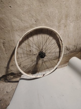 Cerchio bici 26 Specialized graffiato