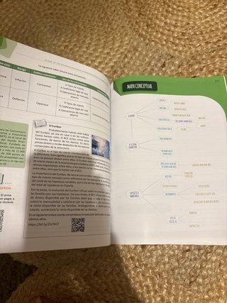 Economía 1º BCH LOMLOE