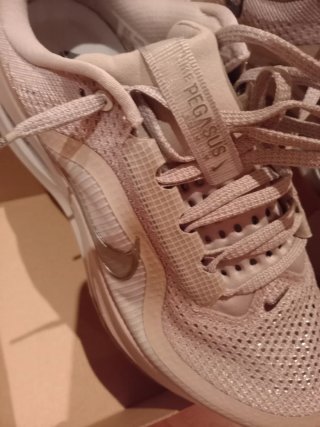 Nike Pegasus Premium Talla 42