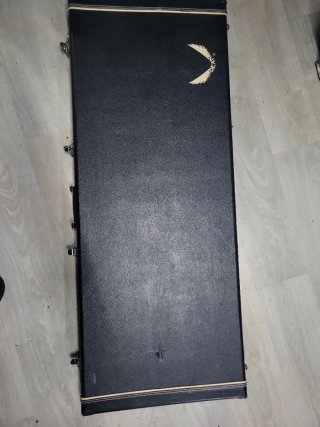 Guitarra Dean V Eric Peterson Old Skull