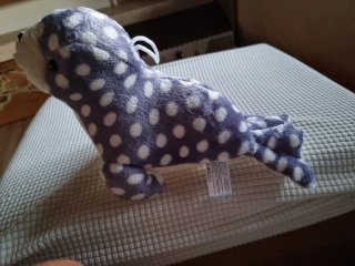 Peluche Foca Royal Collection Morbido