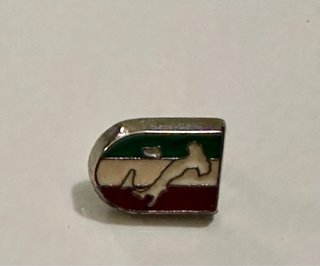 Spilletta pin Italia