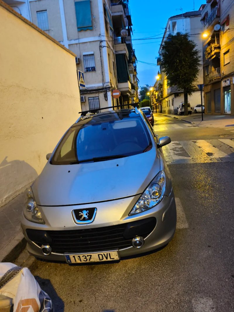 Peugeot 307 2007 - foto 1