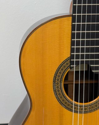 Guitarra Manuel Contreras II