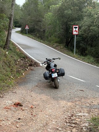 BMW R850R Negra Limitada A2