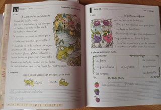 Lote de Cuadernillos de lectoescritura