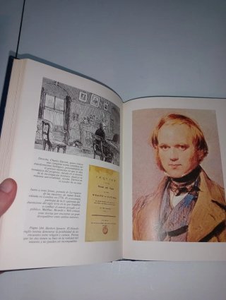 Historia del pensamiento. Romanticismo
