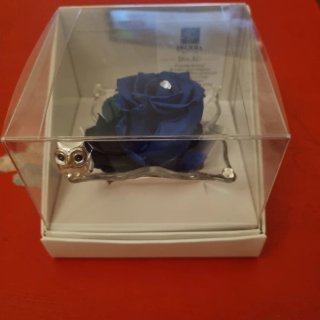 Rosa stabilizzata blu con gufo portafortuna