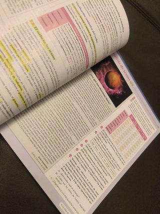 Lengua castellana y literatura I. Libro del est...