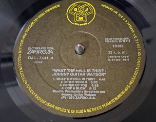 Johnny Guitar Watson What The Hell Is This? Promo
