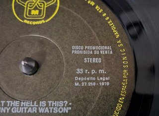 Johnny Guitar Watson What The Hell Is This? Promo