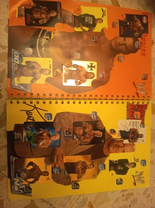 Book Fluo Collection WWE