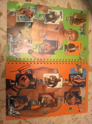 Book Fluo Collection WWE