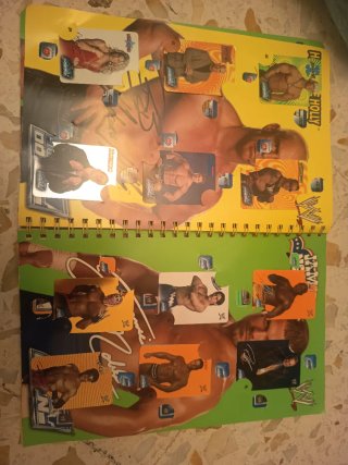 Book Fluo Collection WWE