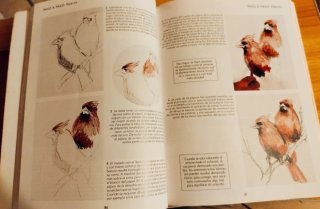 Lote Arte Cretacolor con cretas, sanguinas y Libro