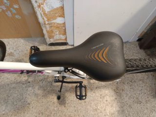 Bicicleta rock Rider 300