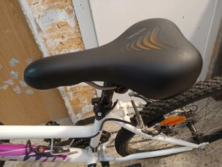 Bicicleta rock Rider 300