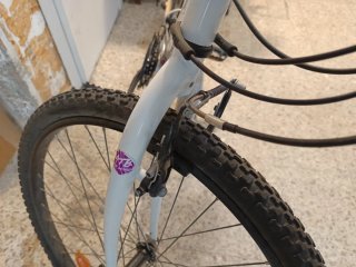 Bicicleta rock Rider 300