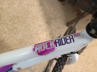Bicicleta rock Rider 300