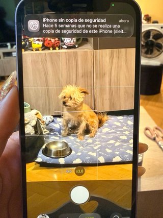 iPhone 12 64GB Viola