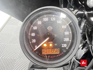 HARLEY DAVIDSON SPORTSTER 883 IRON 2019 13150 kms.