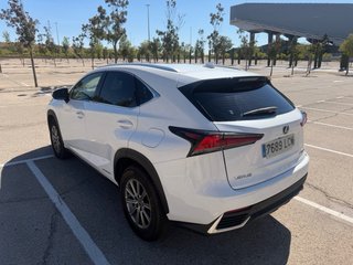 Lexus NX 2019