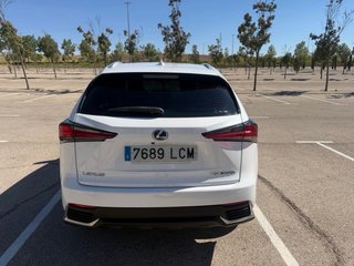 Lexus NX 2019