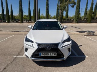 Lexus NX 2019