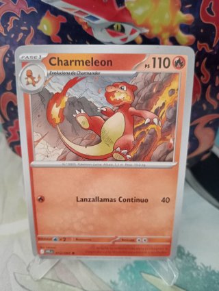 Lote 6 Cartas Pokémon Charmander y Charmeleon