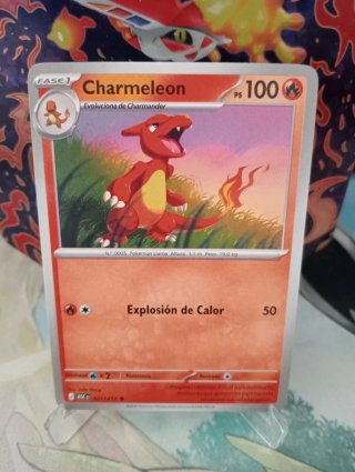 Lote 6 Cartas Pokémon Charmander y Charmeleon
