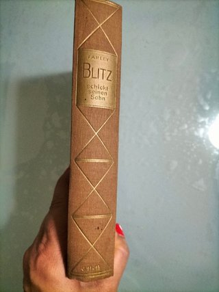 Libro "Blitz schickt seinen Sohn" di Walter Farley