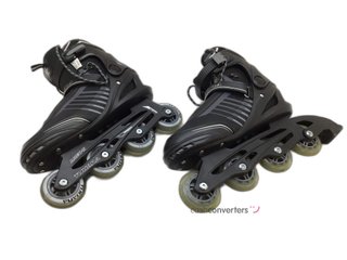 patines tijuana nt