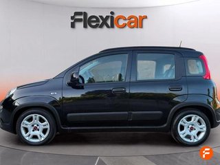 Fiat Panda Panda Hybrid 1.0 51kw (70CV)